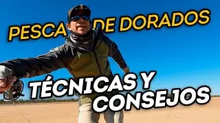 3 consejos para clavar un dorado en la pesca con mosca