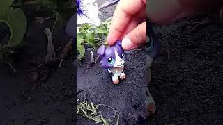 топ 11 моих любимых петов#LPS