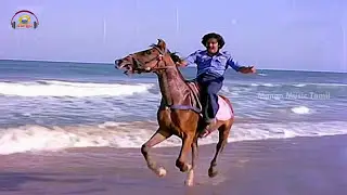 Sigappu Rojakkal Tamil Movie Songs | Ninaivo Oru Video Song | Kamal Haasan | Sridevi | Ilayaraja