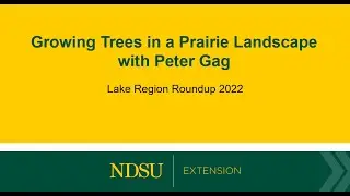 Growing Trees In Prairie Landscape with Peter Gag