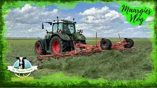 Maargies vlog 197: jonge geitjes, inkuilen en gras hakselen & update wonen| Fendt Vario, New Holland