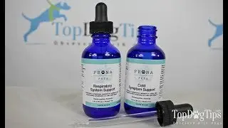 Prana Pets Natural Respiratory and Cold Symptom Support Review (2018)