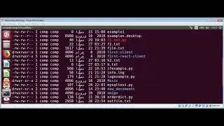 Linux How to use gzip and gunzip programs to compress and uncompress files