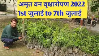अमृत वन वृक्षारोपण 2022 || हरीतिमा अमृत app 2022 Plantation || Haritima amrit van app #vlogs #blogs