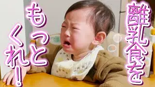 前まで全く食べなかったのに急に｢離乳食が足らん!!｣と怒る赤ちゃん