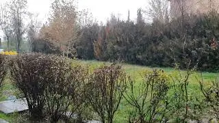 بارانە و بارانە تیپی مۆسیقای سلێمانی هونەرمەند 