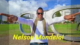 Nelson Mandela African Hero | Michel Dan Ally ft. Shardonney