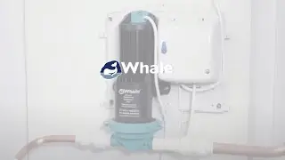 Blockages  - External Pipework Test & Rodding by Whale
