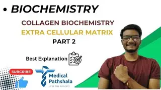 Extracellular Matrix | Components of ECM | Biochemistry | MBBS