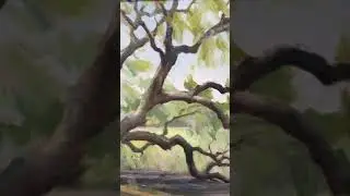 Ignat Ignatov &ldquo;Live Oak by the Marsh&rdquo;