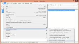 (old) [HD] Encode/Decode percent encoding (URL encoding) with EmEditor text editor