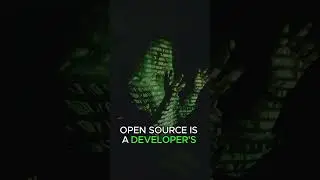 5 FUN FACTS About Developers #shorts #developer #fun