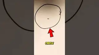 Почему муравьи попадают в круг? 😨