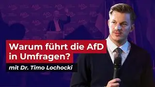 Herbst der Reformen: Welche Fehler machen die etablierten Parteien?