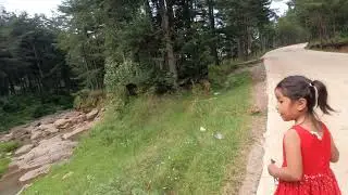 Podemos caminar durante el día sobre este camino de muchos árboles 