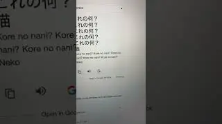 Это что? Кошачьи #шорты