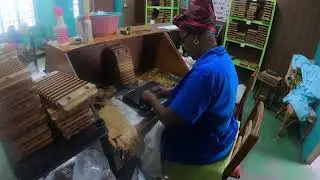 Cigar Education in Barbados