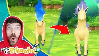 Shiny Ponyta & Shiny Rapidash Caught Wild | Pokemon Let's Go Pikachu Extreme Shiny Living Dex Series