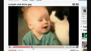 LE ROI CHAT clip.wmv