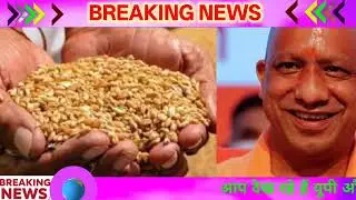 12 जनवरी 2026 Up News Uttar Pradesh Ki Taja Khabar Mukhya Samachar Yogi samachar Up News