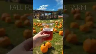 The Best Fall Day Trip Near Lake Norman NC 🍂 | Patterson Farm