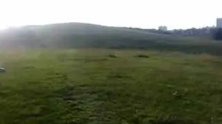 Newcastle Town Moor