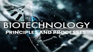 HTET 2025  | Biotechnology Part 2 | PCR & Gel Electrophoresis Full Concept