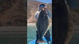 Halibut & WSB! What to Take!