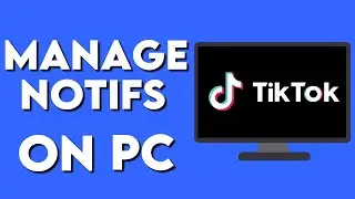 How To Manage Notifications on TikTok PC