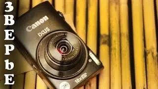Обзор - Canon ixus 255 HS