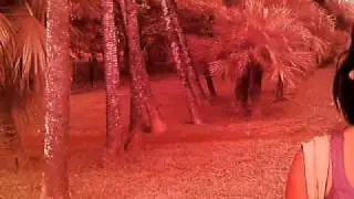 parque lenin, habana cuba 1