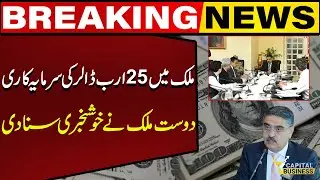 Pakistan, UAE sign &lsquo;historic&rsquo; MoUs worth &lsquo;multi-billion dollars&rsquo; | Capital Business
