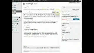 WordPress Tutorial | Demystifying Shortcodes