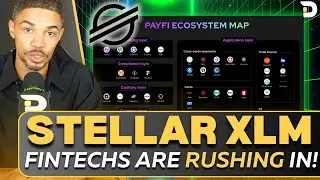 Fintechs Are Going ALL IN On XLM | The Pay Fi Ecosystem Explained