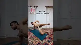 La #pelvis presenta una desalineaci&oacute;n ? 🧘&zwj;♂️⬇️Haz lo siguiente