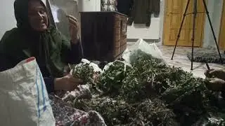 HAVALAR SOGUDU ZAMANINDA GİTTİK COCUKLARIMA PAYLAŞTIRDIM ÇITLIMIZI