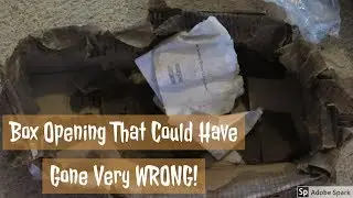 Reborn Box Opening That Could Have Gone Very WRONG!!!
