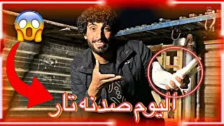 صيد اليوم طير غريب وطلعنه الحمر دشرناهن حمودي سكيت 2024