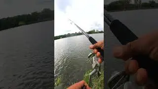 Ich teste eure Tipps gegen Grundeln: Futterkorb und Mais #grundeln #angeln #fishing