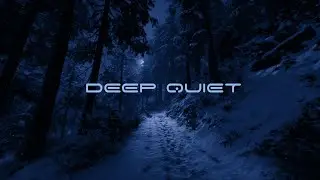 Deep Quiet | First Person Walk Through a Snowy Forest Path 🌲❄️ | Live Ambient