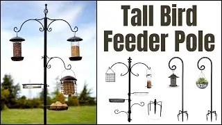 Best Tall Bird Feeder Pole Review
