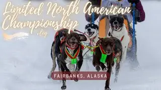 Weekend running dogs at the LIMITED NORTH AMERICAN SPRINT DOG SLED CHAMPIONSHIPS in Alaska!