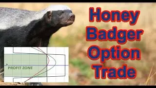 The 24 Hour Neutral Option Strategy for Stocks