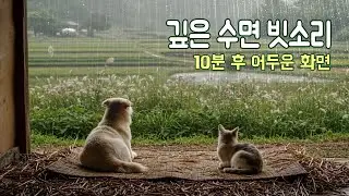 잠 못 드는 당신을 위한 깊은 수면 빗소리 ｜10분 후 어두운 화면 ｜불면증, 수면유도, 힐링, 잠자리, asmr