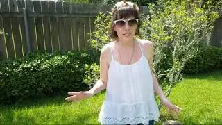 Let's Look for Lilliputians! Yard Tour Livestream