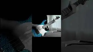 APEX Silica Gel - Modulus Bass