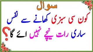 islamic quizzes gernal knowledge | Islamic questions answers - common sense paheliyan Urdu 