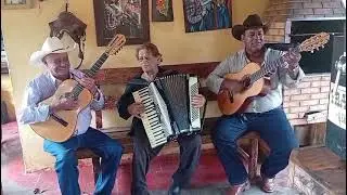 Amargurado ( Neno carreiro e Pratini )100%Raiz