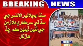 Sindh Employees Alliance ji sad te sarkari mulazman teein din bhi kam chhad hartal jari rakhi
