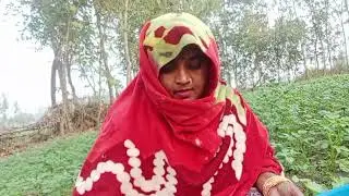 दिव्या गुप्ता 416। ###खेत का वीडियो